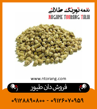 فروش دان طیور